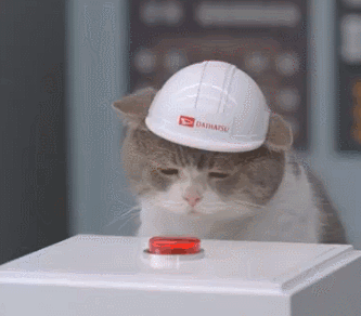 A cat pressing a big red button